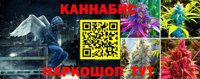 сатива Дубна