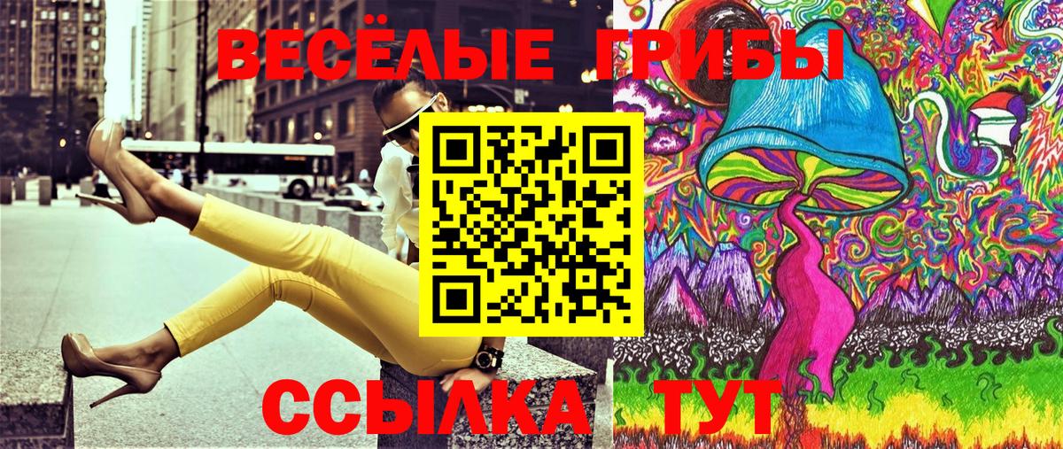 где можно купить наркотик  Галлюциногенные грибы Psilocybe  Галлюциногенные грибы Psilocybe  Вход с VPN  Майкоп 