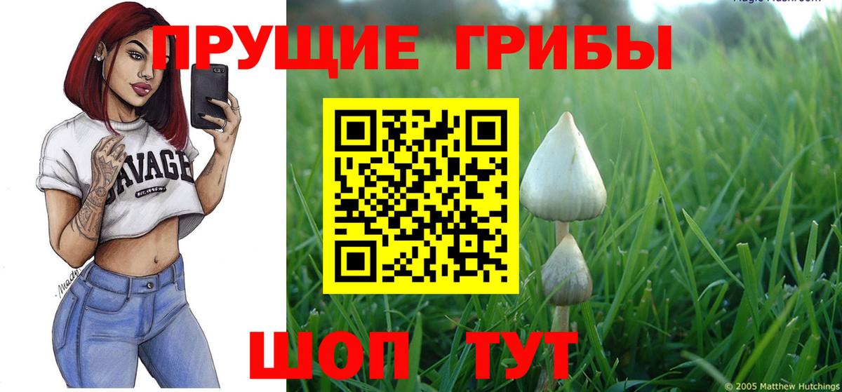 Галлюциногенные грибы Magic Shrooms Майкоп